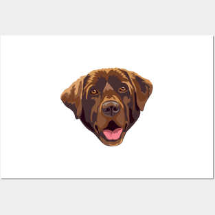 Chocolate Labrador Posters and Art